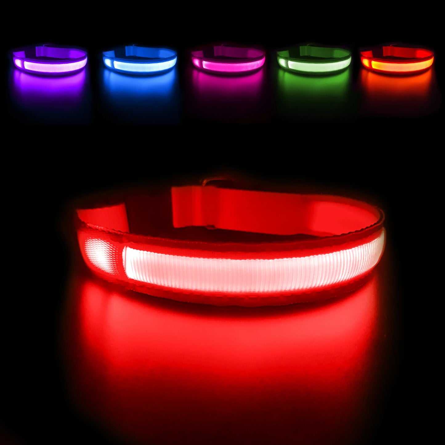 Dog Collar Luminous