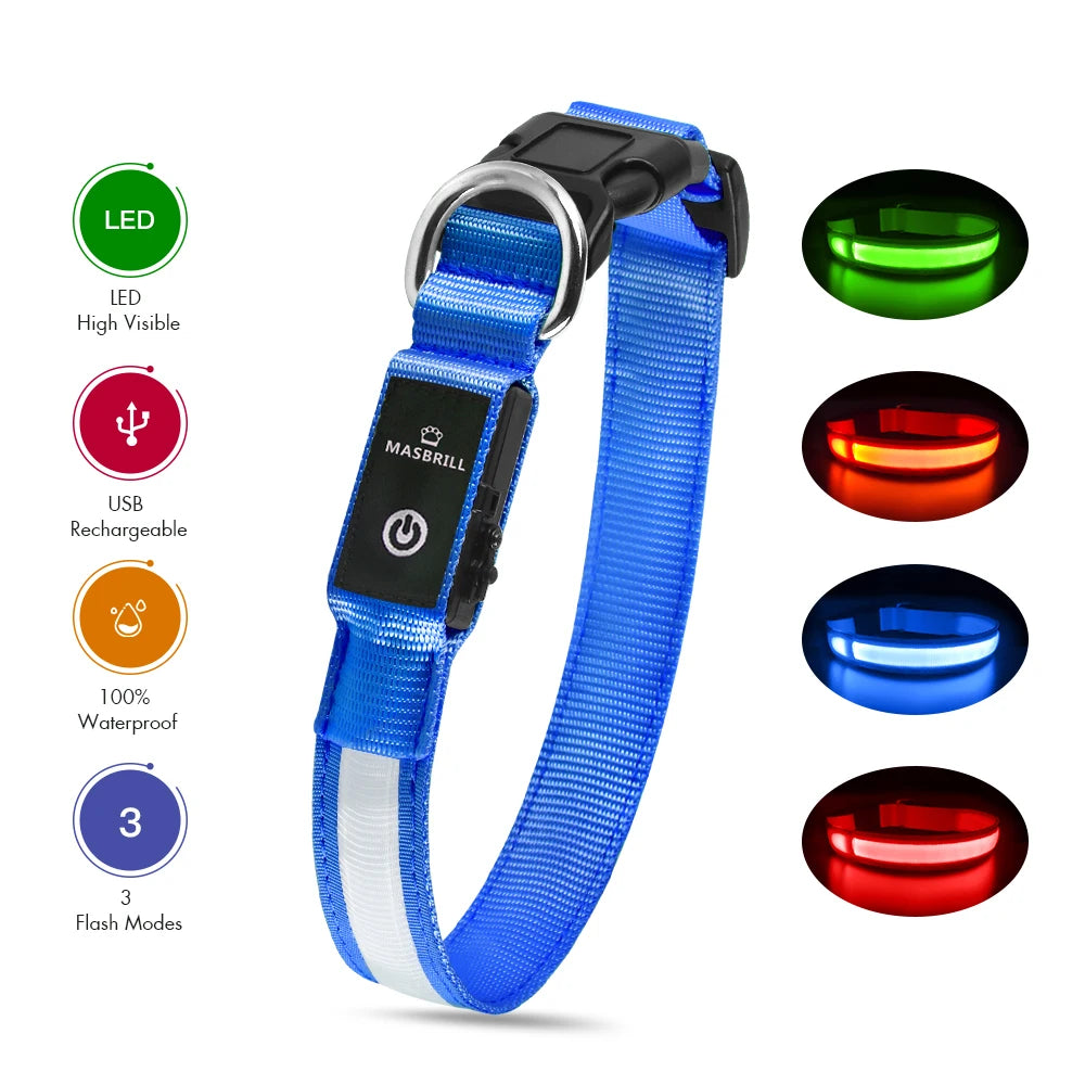 Dog Collar Luminous