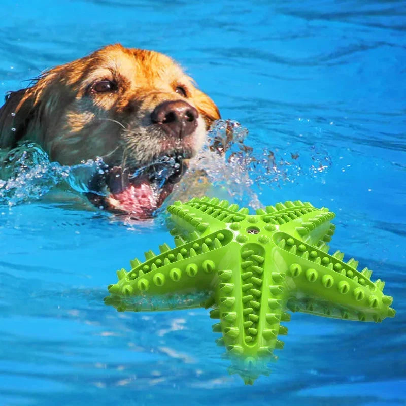 Starfish Dog Toy for tooth cleaning