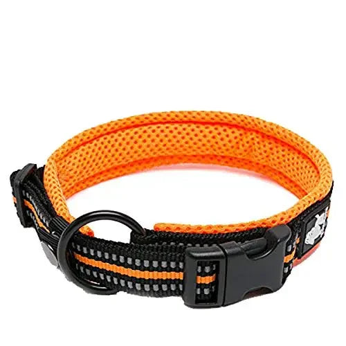 Collar Nylon Adjustable Webbing
