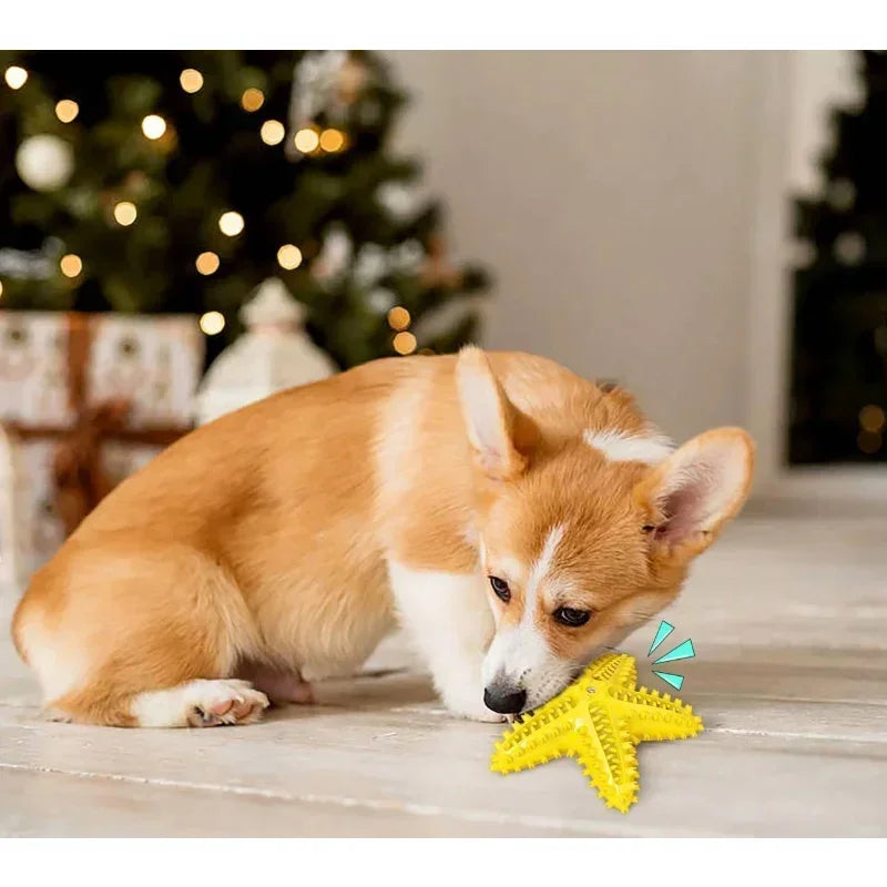 Starfish Dog Toy for tooth cleaning