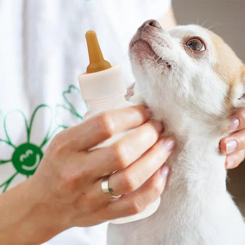 Pet Feeding Bottle Kit With Storage Case