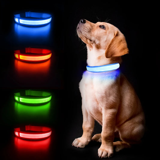 Dog Collar Luminous
