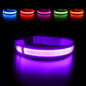 Dog Collar Luminous