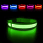 Dog Collar Luminous