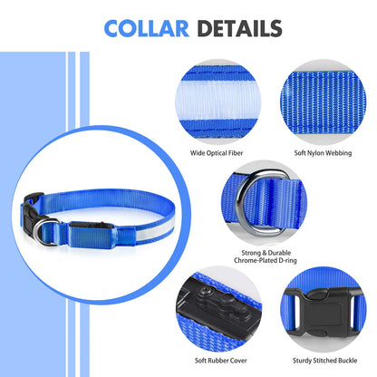 Dog Collar Luminous