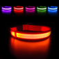 Dog Collar Luminous