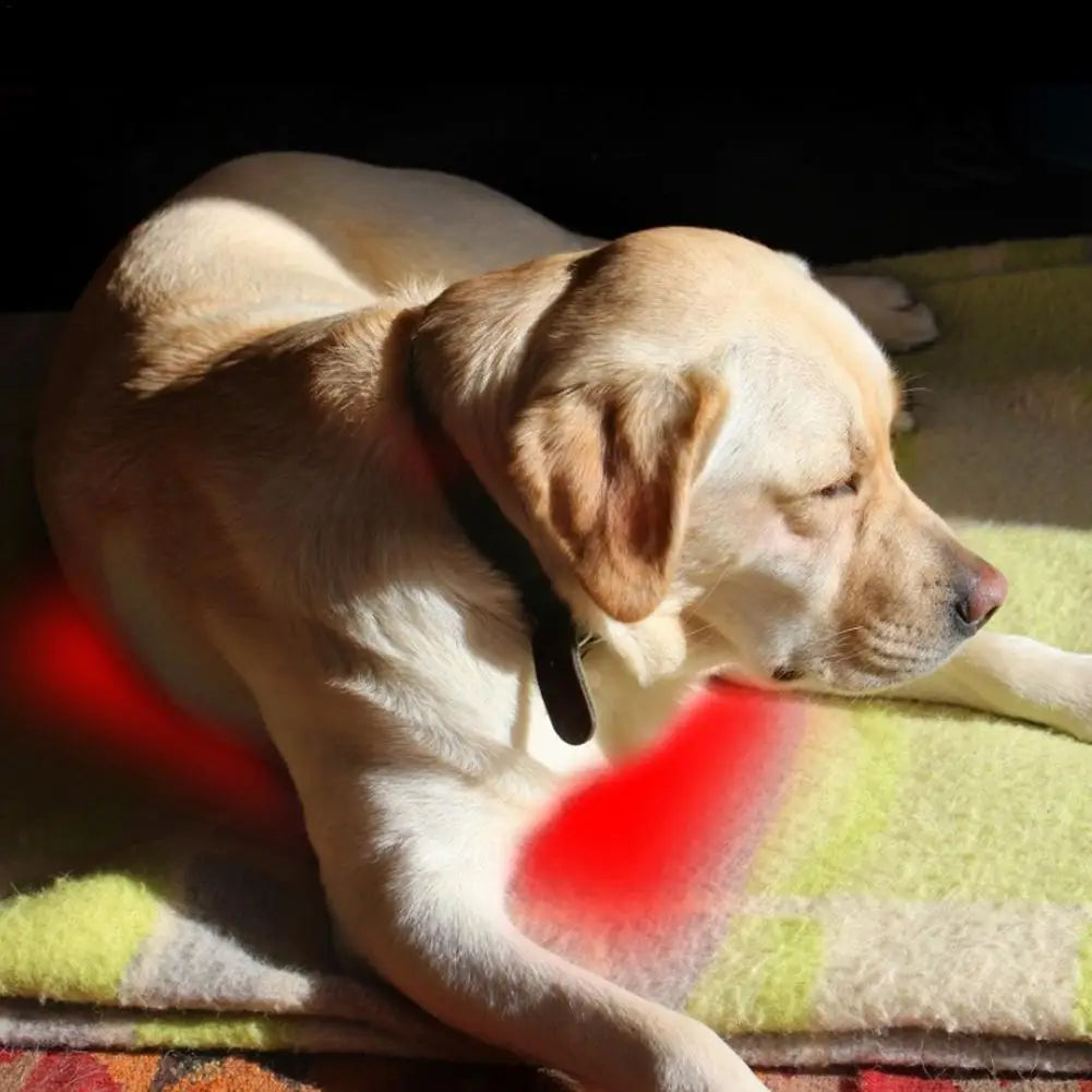 Pet Heating Pad Electric USB