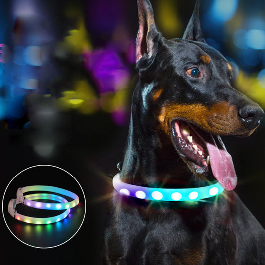 LED Dog Collar USB Pet  Collar