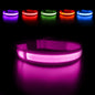 Dog Collar Luminous