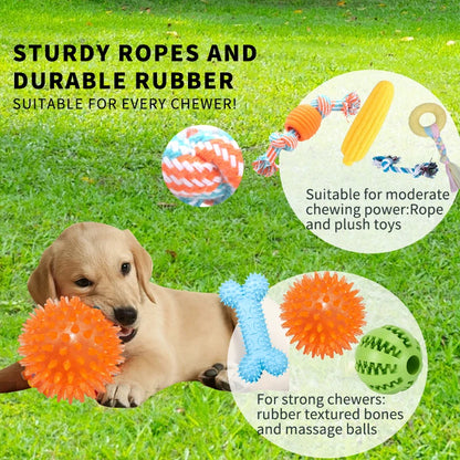 18 Dog Toy Packs
