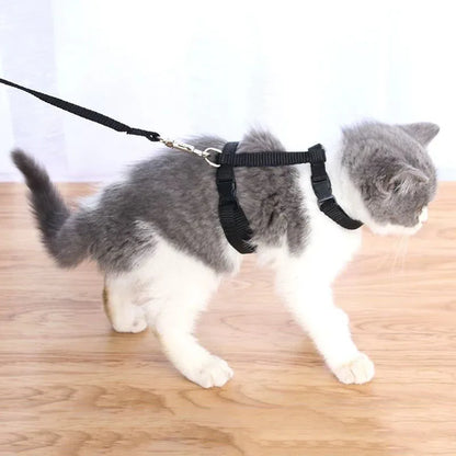 Pet Cat Harness and Leash Set
