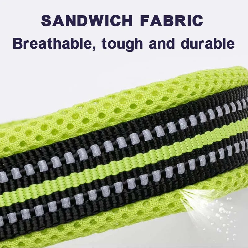 Comfort Padded Dog Collar
