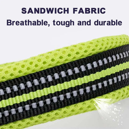 Comfort Padded Dog Collar