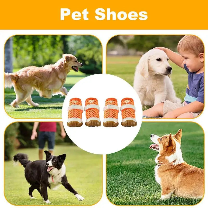 Small Dog Shoes