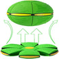Green Disc Ball Dog Toy