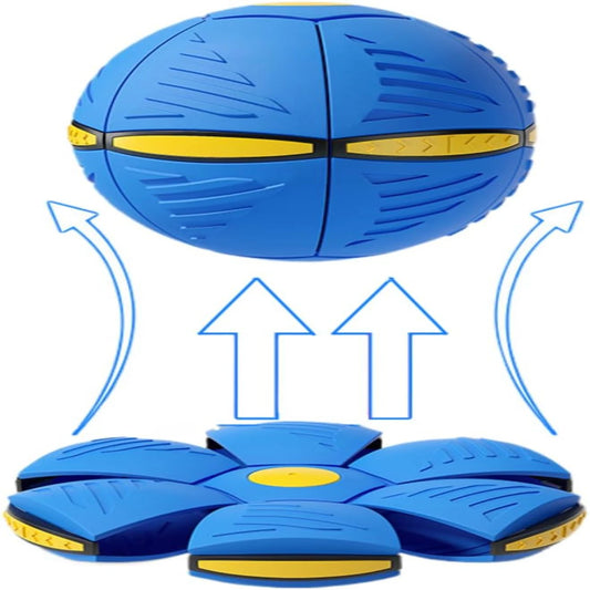 Green Disc Ball Dog Toy