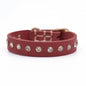 Soft Real Leather Collar