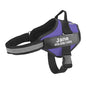 Dog Harness Adjustable Pet Vest