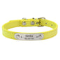 Personalized Dog Collar