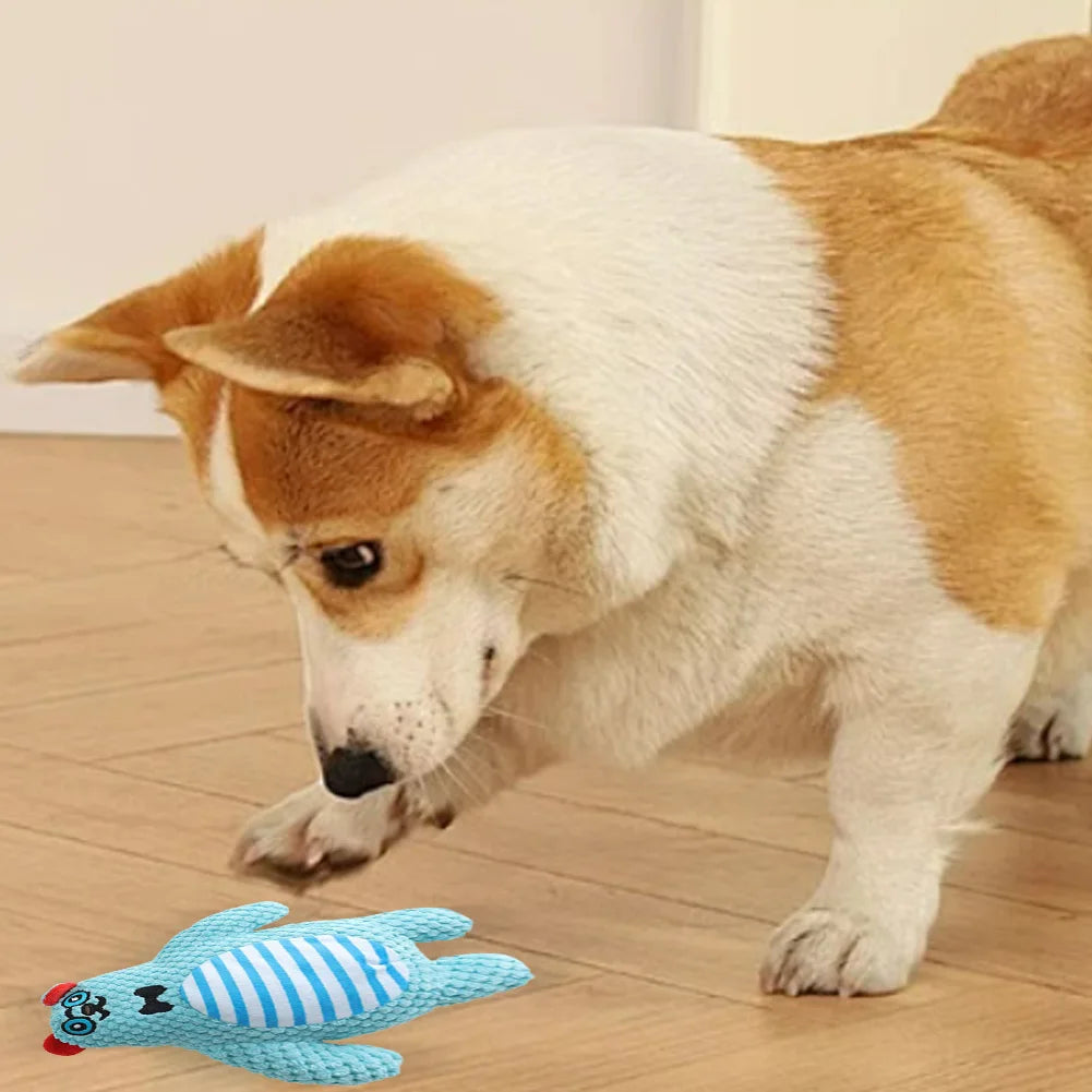 Squeaky Dog Toys