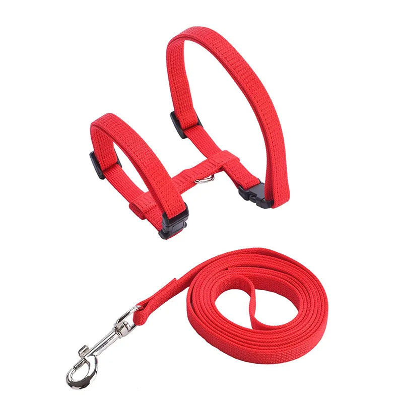Pet Cat Harness and Leash Set