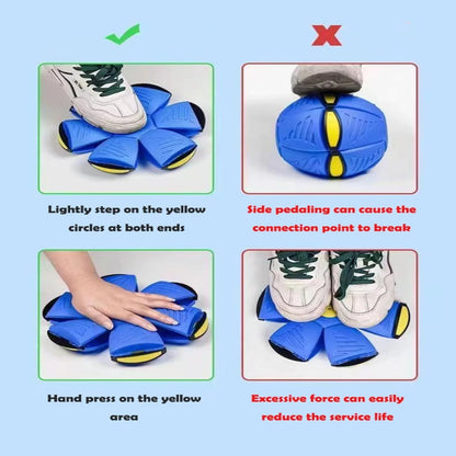 Green Disc Ball Dog Toy