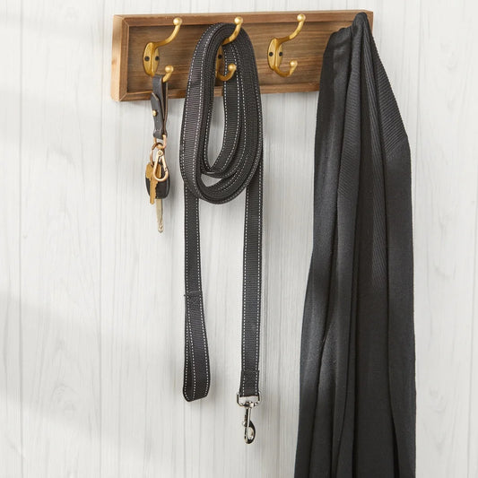 20ft Nylon Dog Leash & Tie-Out