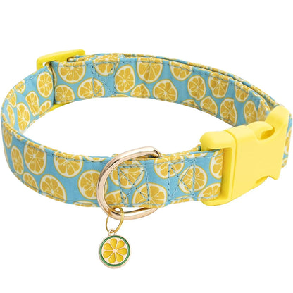 Pet dog collar with Fruit metal pendant