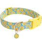 Pet dog collar with Fruit metal pendant