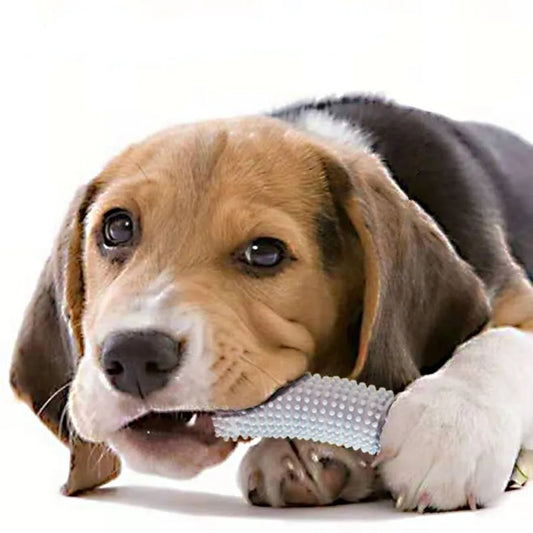 cucumber dog biting and grinding toy