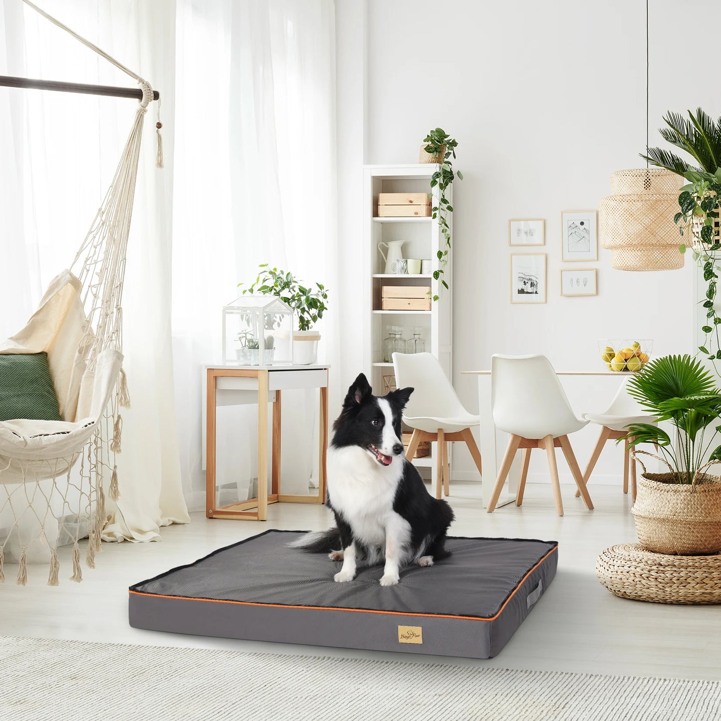Large Padded Orthopedic Dog Bed