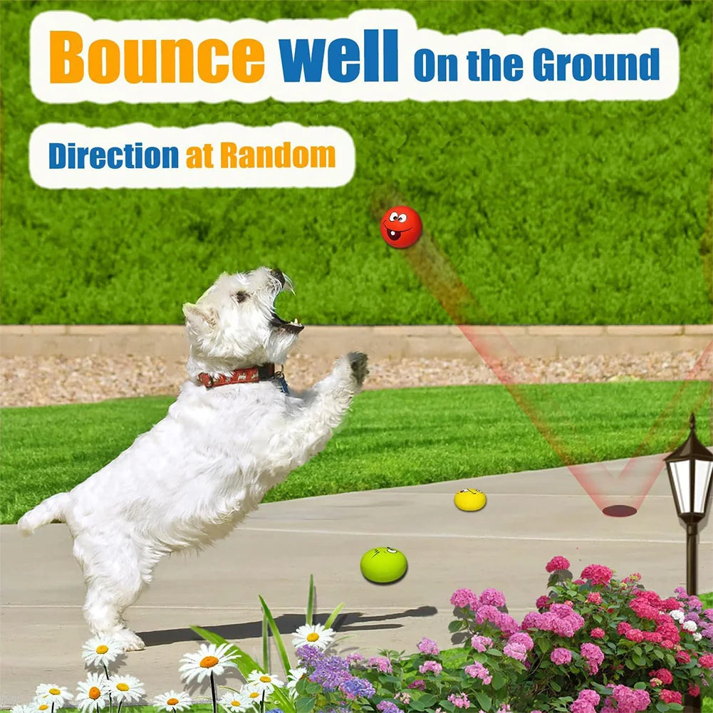 6Pcs Smile Face Squeaky Dog Toys