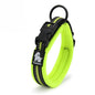 Comfort Padded Dog Collar