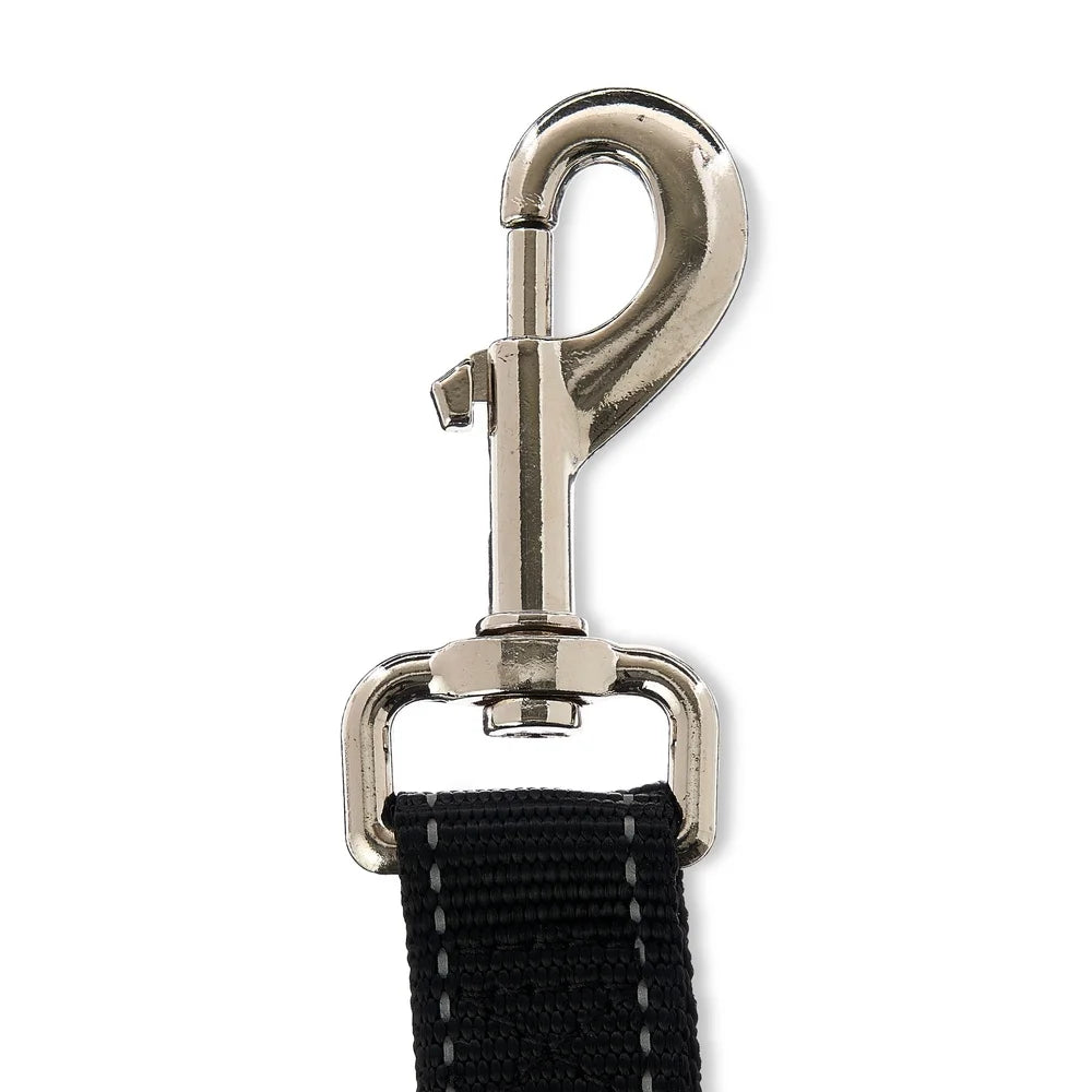 20ft Nylon Dog Leash & Tie-Out