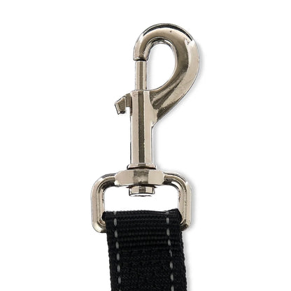20ft Nylon Dog Leash & Tie-Out