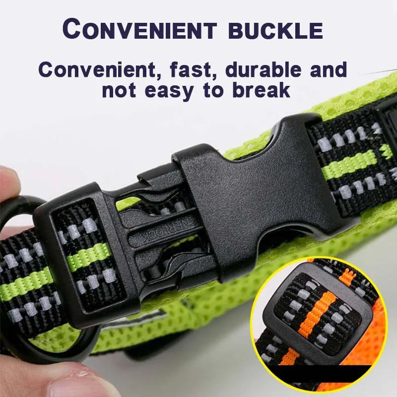 Comfort Padded Dog Collar