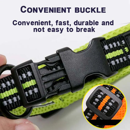Comfort Padded Dog Collar