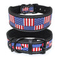 Reflective Puppy Dog Collar with Buckle Soft Padded
