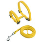 Pet Cat Harness and Leash Set