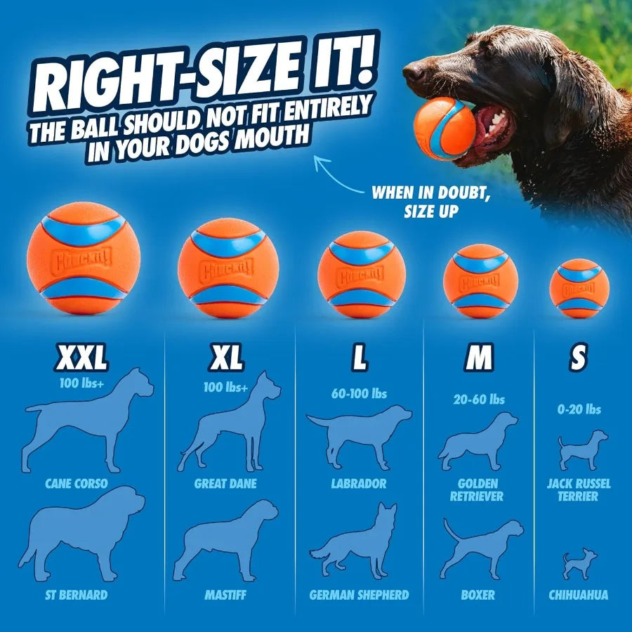 Ultra Ball Dog Toy Medium Bouncy Fetch Balls