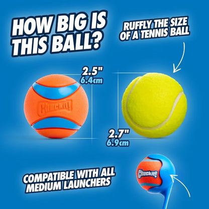 Ultra Ball Dog Toy Medium Bouncy Fetch Balls