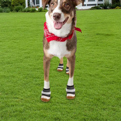 Small Dog Shoes