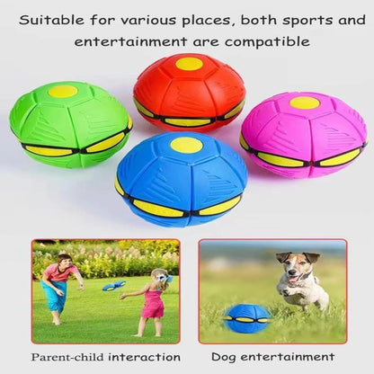 Green Disc Ball Dog Toy