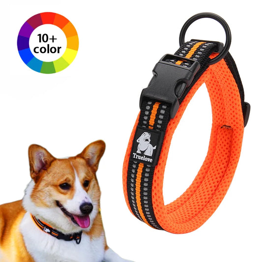 Comfort Padded Dog Collar