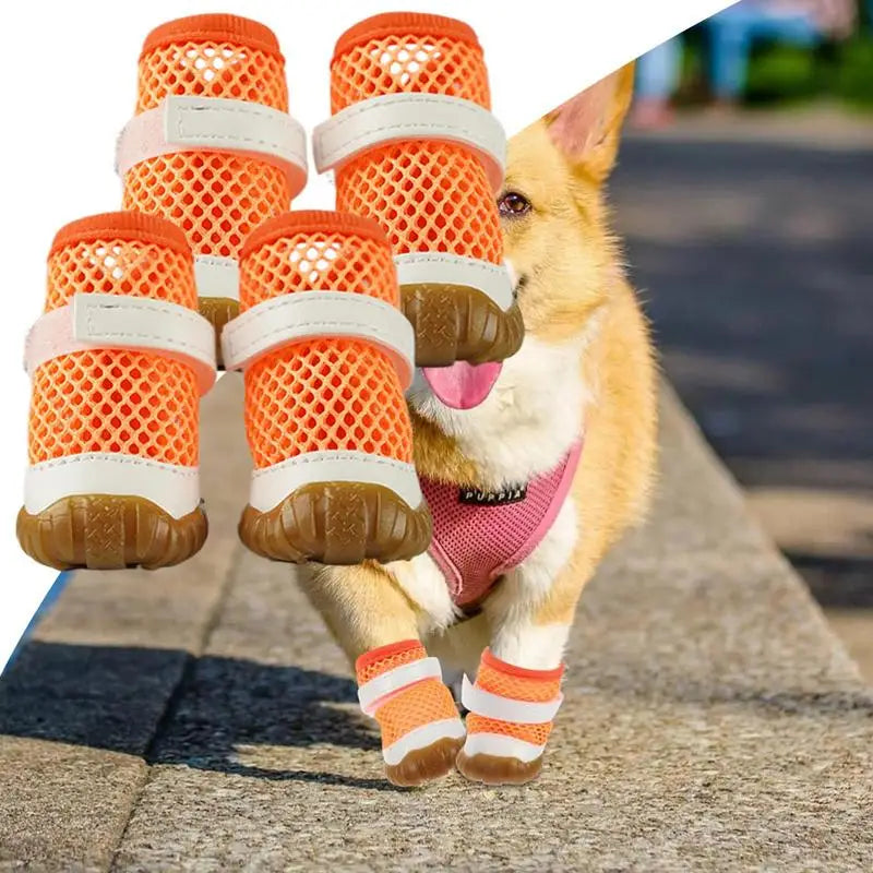 Small Dog Shoes