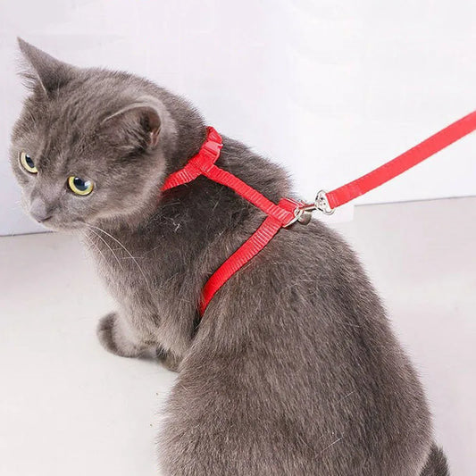 Pet Cat Harness and Leash Set
