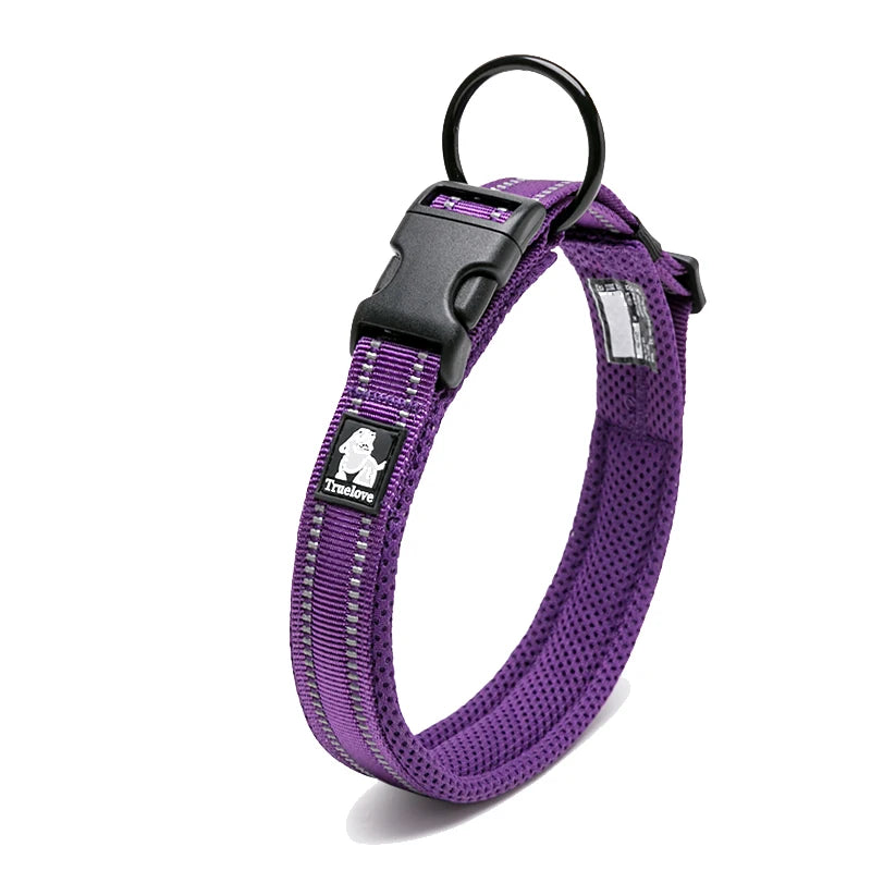 Comfort Padded Dog Collar