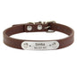 Personalized Dog Collar