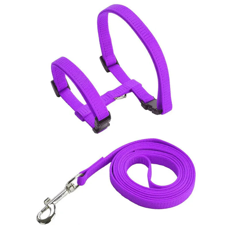 Pet Cat Harness and Leash Set